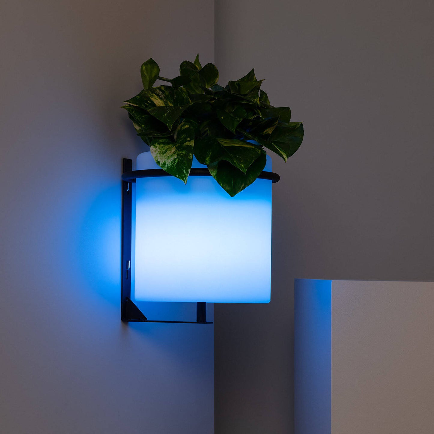 Lámpara de Pared Exterior LED Macetero 22cm RGBW Recargable IP65