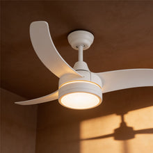 Ventiladores