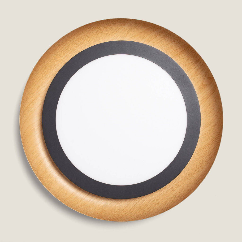 Plafón de Techo LED 30W Metal Garter