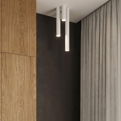 Aplique de Techo Lagos 20 Metal SOLLUX
