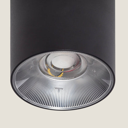 Aplique de Techo LED 10W Aluminio Syrah