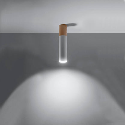 Aplique de Techo Pablo Madera SOLLUX