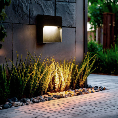 Baliza Exterior LED 6W Superficie Pared Arca