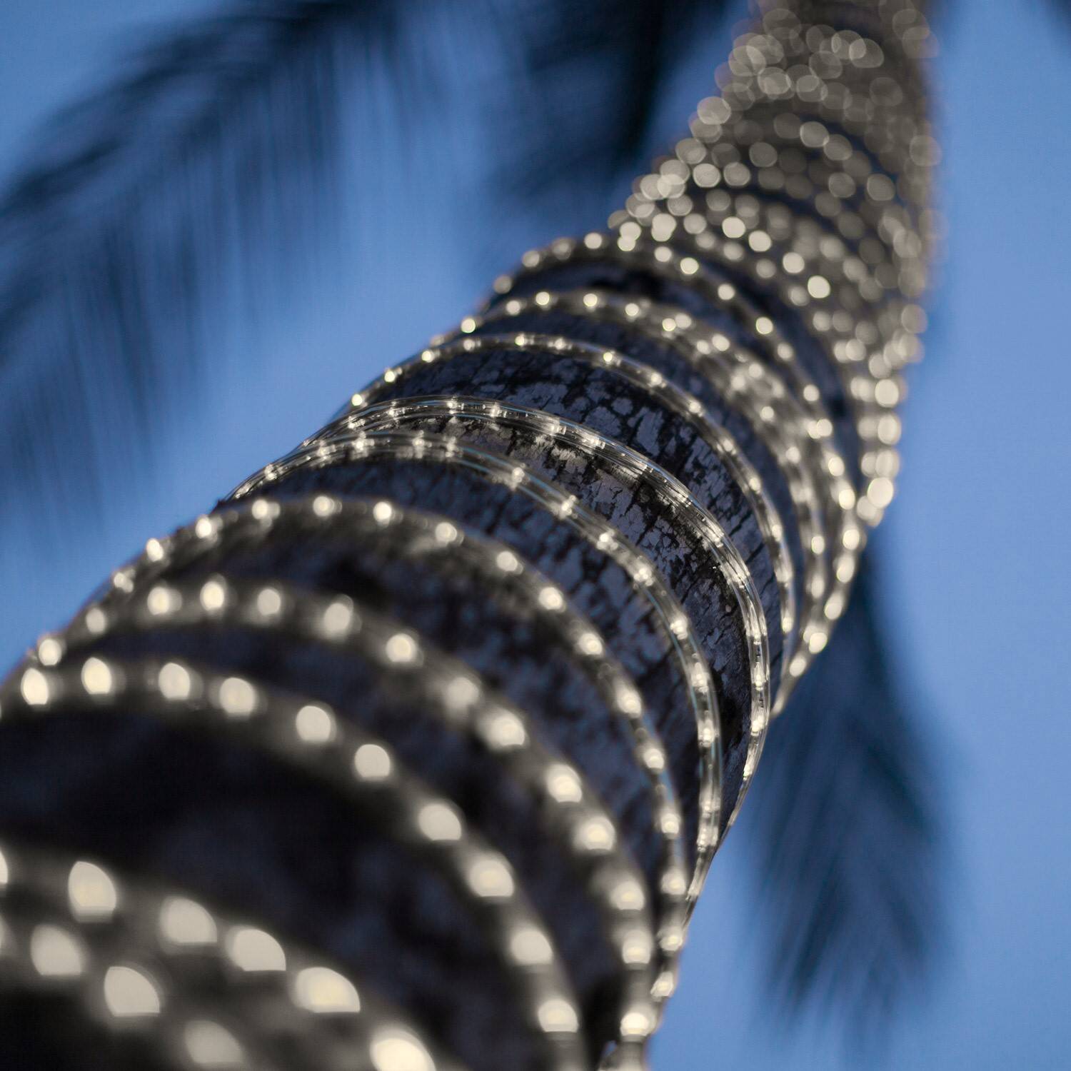 Manguera LED Redonda 220V 36 LED/m BOBINA 50m Corte 100cm IP65