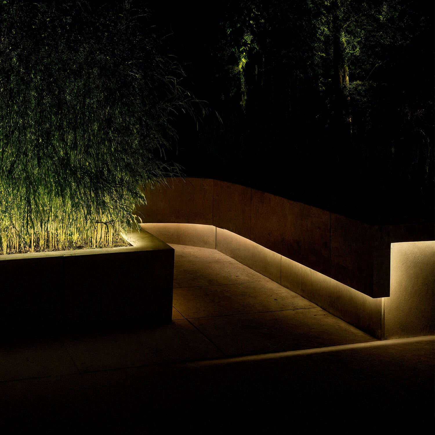 Tira LED Exterior Solar 24V DC SMD2835 60 LED/m 30m IP65 Ancho 12 mm Corte 100 cm