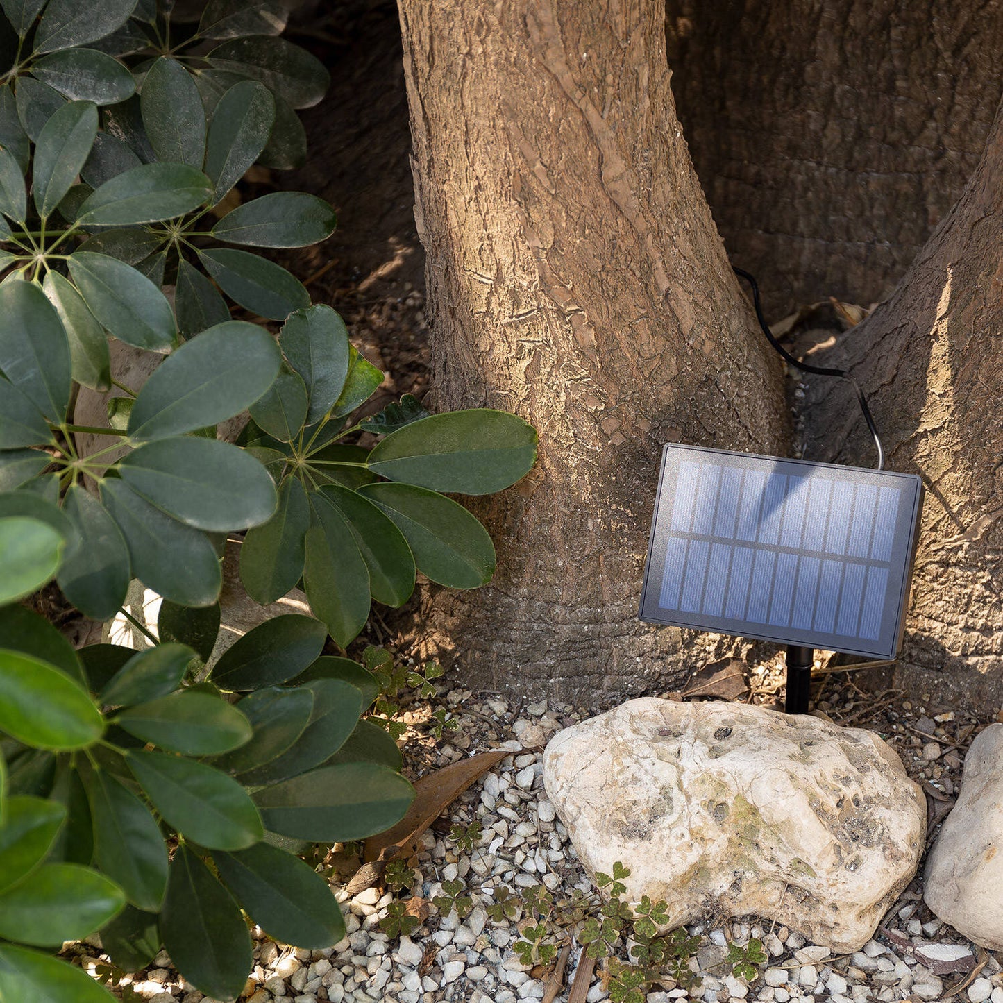 Guirnalda de Bombillas LED Solar Exterior Kuiper 7m