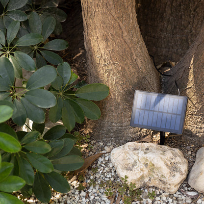 Guirnalda de Bombillas LED Solar Exterior Kuiper 7m