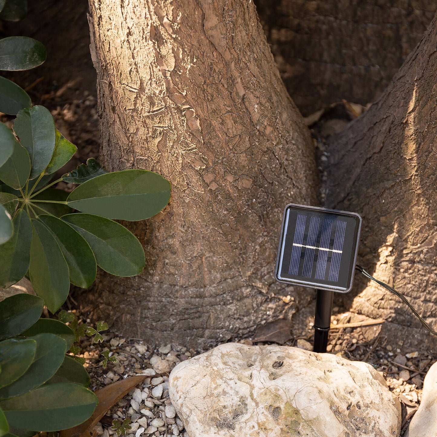 Guirnalda Solar Exterior 30 Bolas LED 5m