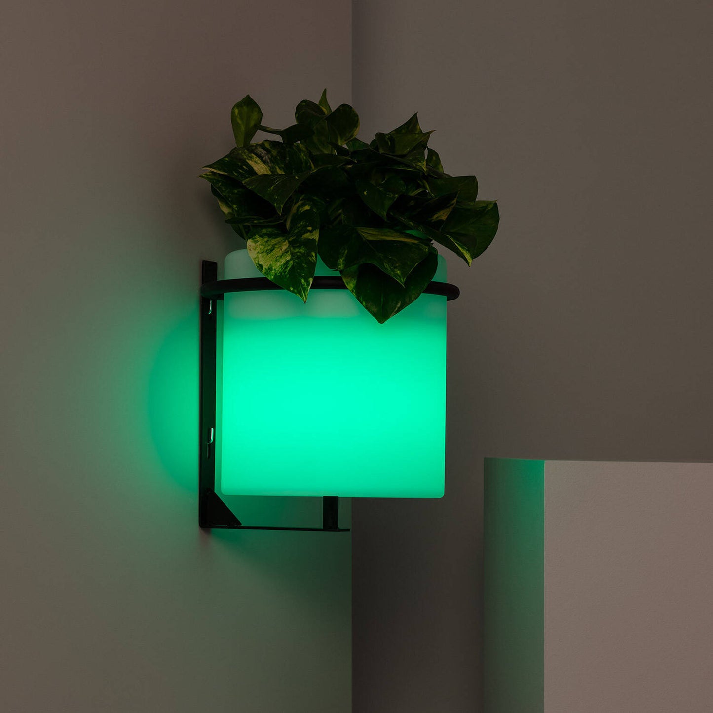 Lámpara de Pared Exterior LED Macetero 22cm RGBW Recargable IP65