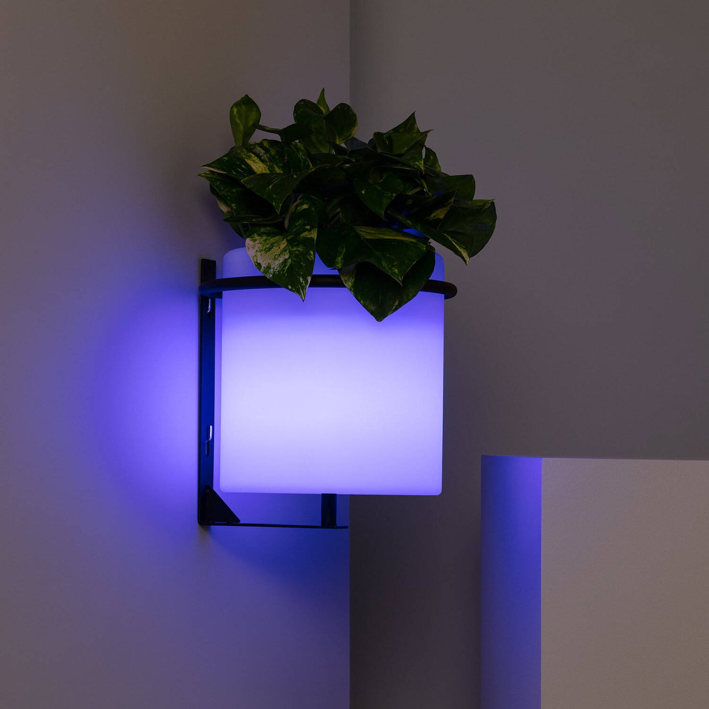 Lámpara de Pared Exterior LED Macetero 22cm RGBW Recargable IP65