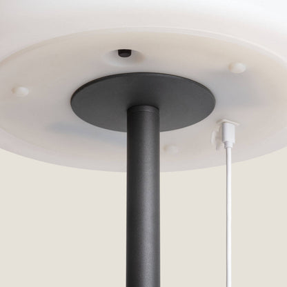 Lámpara de Pie Exterior de Metal LED Solar Larso