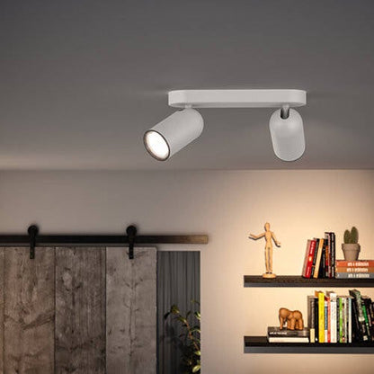 Lámpara de Techo 2 Focos PHILIPS Pongee
