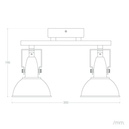 Lámpara de Techo Orientable Metal 2 Focos Negro Emer