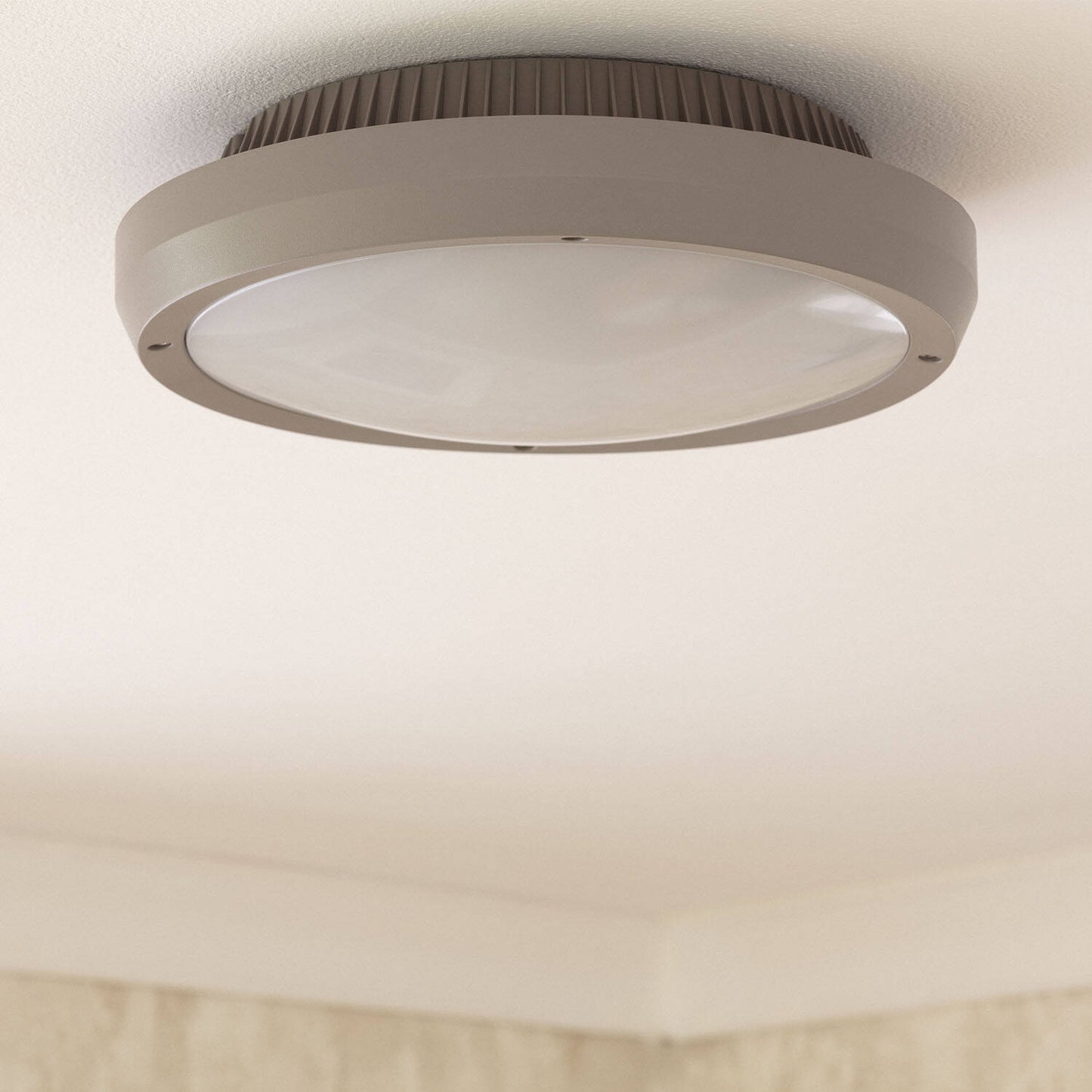 Plafón Circular para Exterior Ø300 mm IP65 Curio Gris