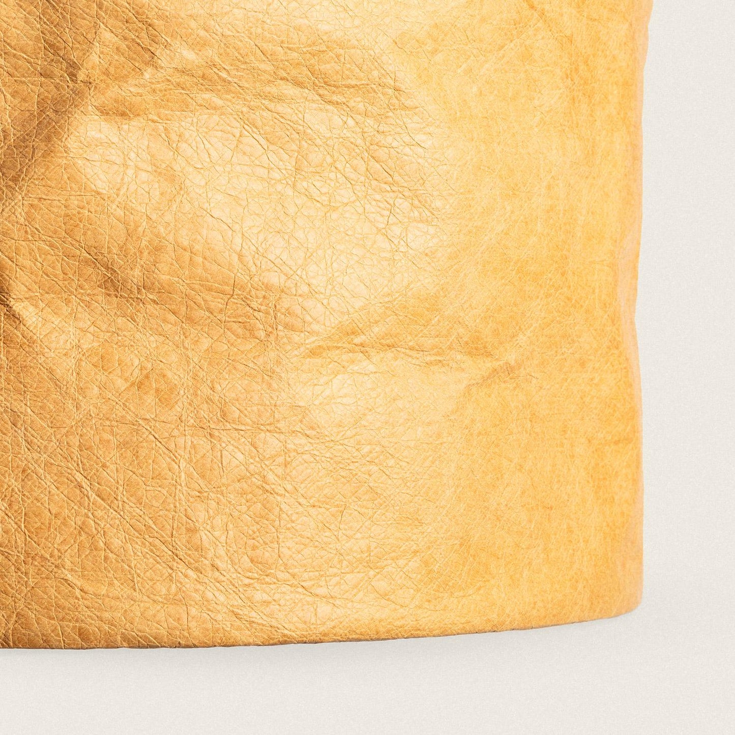 Plafón de Techo Tyvek Diana