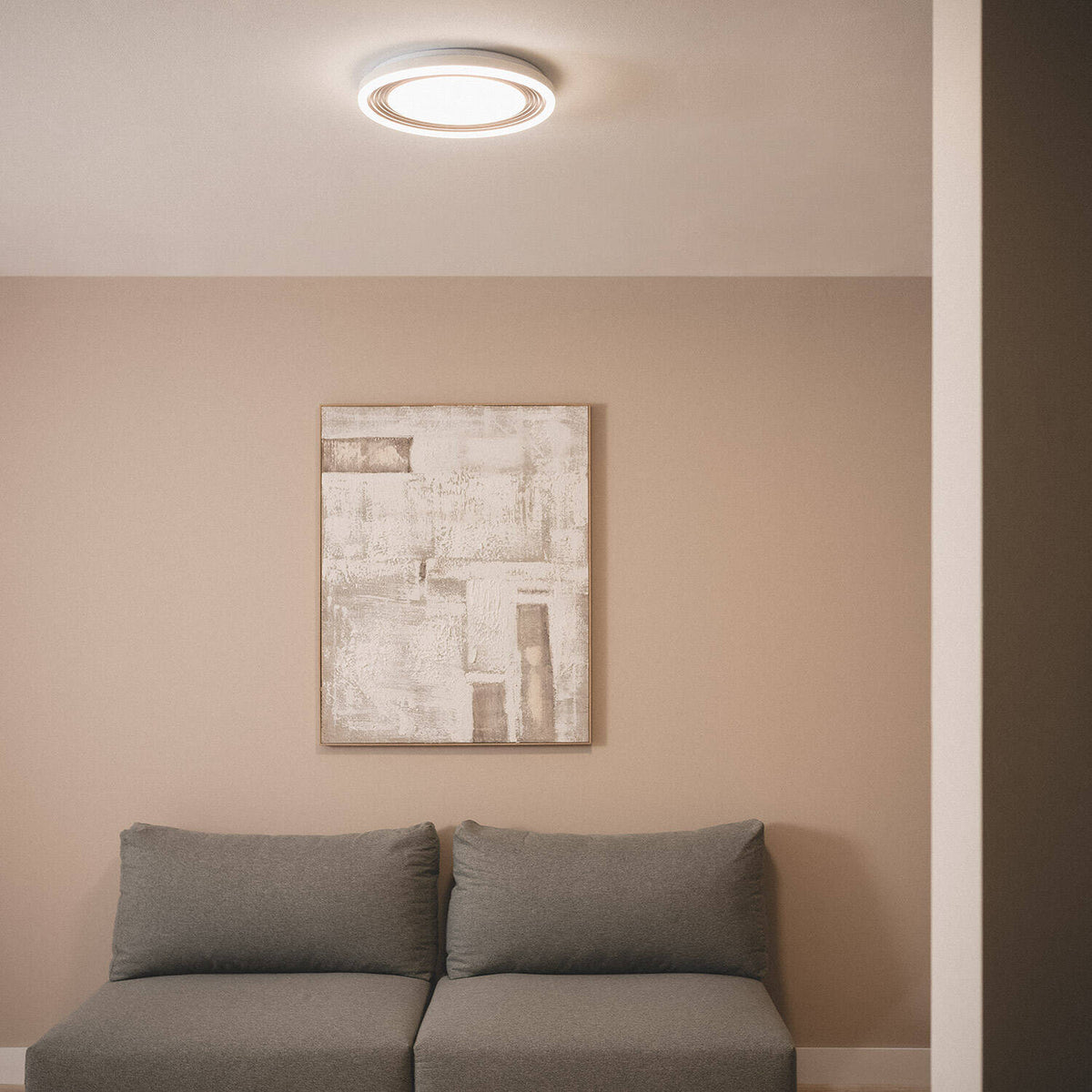 Plafón LED 24W Circular Metal Desse