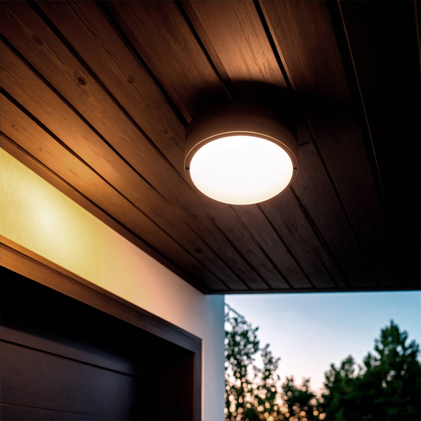 Plafón LED 25W Circular para Exterior Ø175 mm IP65 Hublot Black