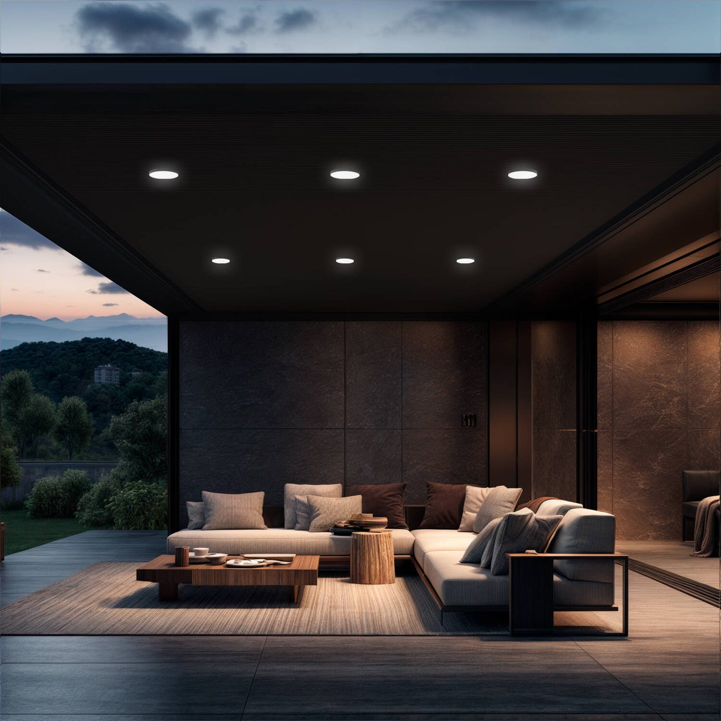 Plafón LED Exterior 24W Circular Ø220 mm Regulable