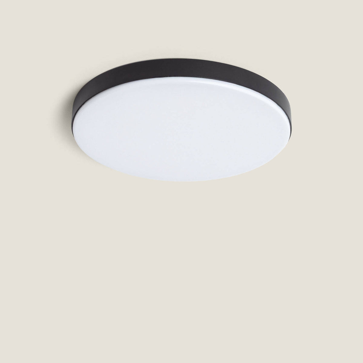 Plafón LED Exterior 24W Circular Ø220 mm Regulable