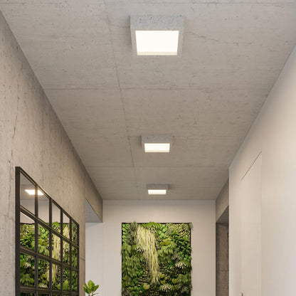 Plafón LED Riza Hormigón SOLLUX